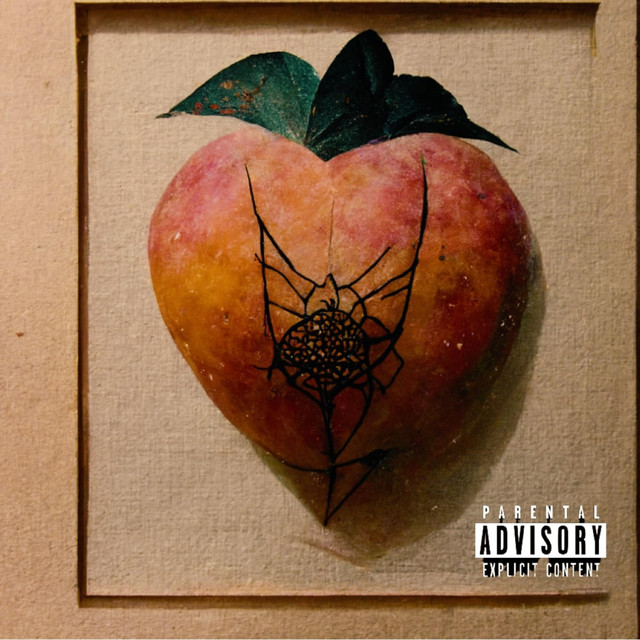 Odd Coal -Beautiful Monster (Spooky&nbsp;Booties)