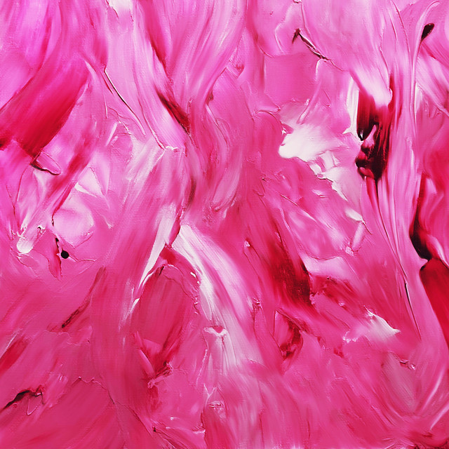 Nocturnal Animals –&nbsp;Picturesque