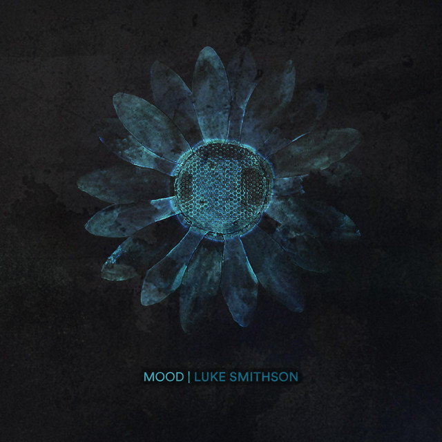 Luke Smithson -Mood (24kGoldn Cover)