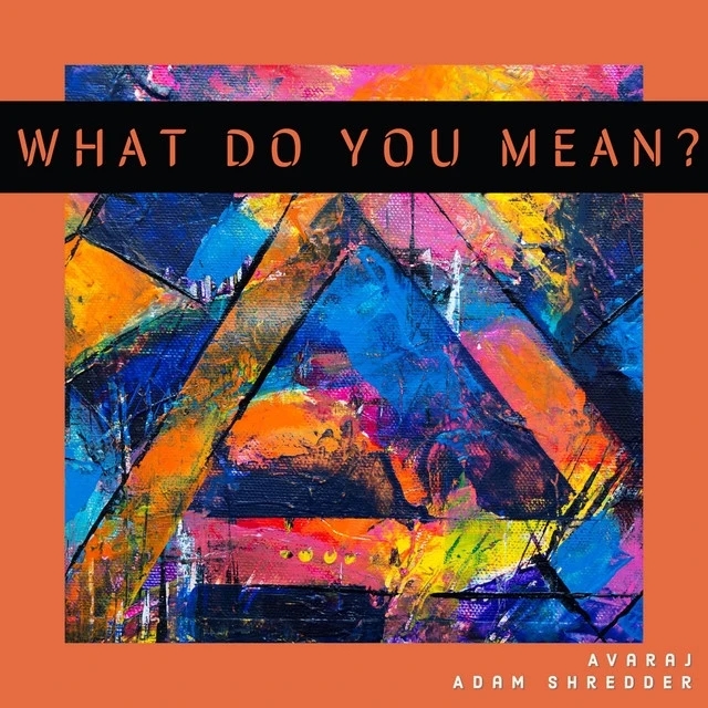 Avaraj- What Do You Mean?