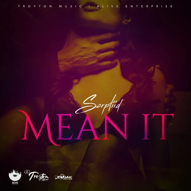 SCRPTIID – Mean It