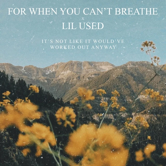 For When You Can’t Breathe – It’s Not Like It Would’ve Worked Out Anyway