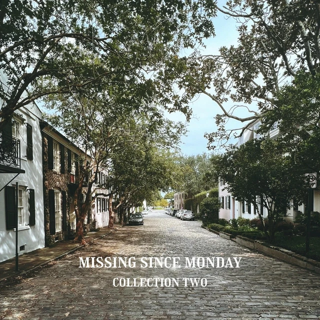 Missing Since Monday – 12 Weeks