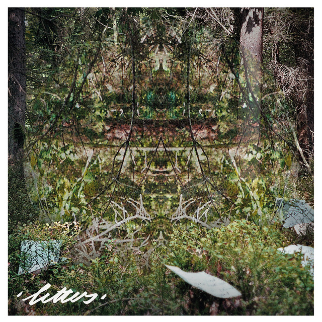 Autumn Kids –&nbsp;Constellations