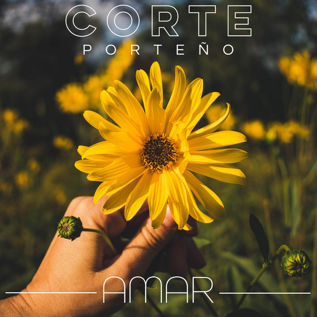 Corte Porteño –&nbsp;Amar