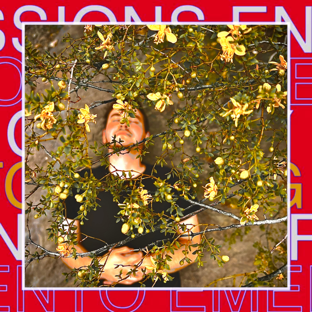 Bayside Alias –&nbsp;Daydreamer