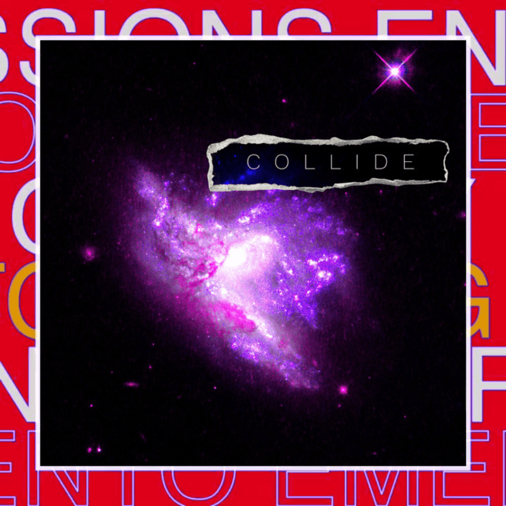 Zebra Libra –&nbsp;COLLIDE.