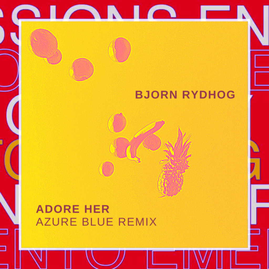 Bjorn Rydhog – Adore her (Remix)