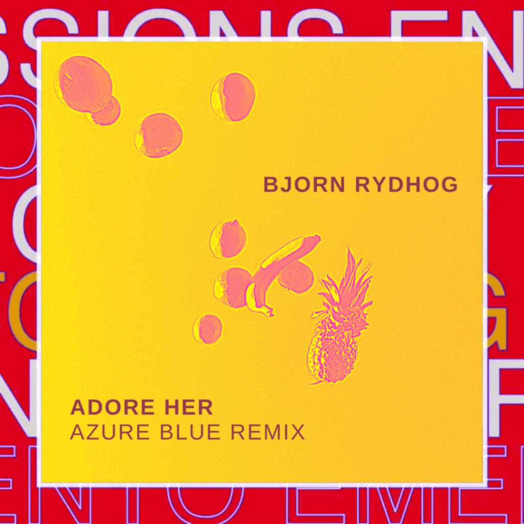 Bjorn Rydhog – Adore her&nbsp;(Remix)