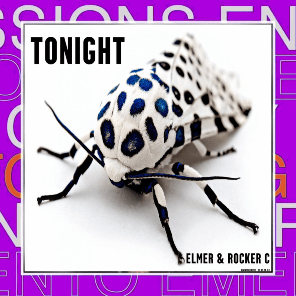 Elmer & RockerC –&nbsp;Tonight