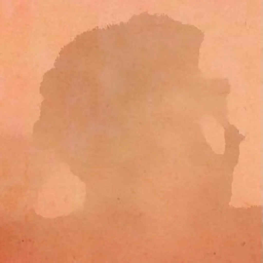 RHEIN – Open&nbsp;Dak