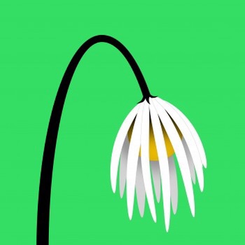 ANDRÆ – Ungreen&nbsp;Thumb