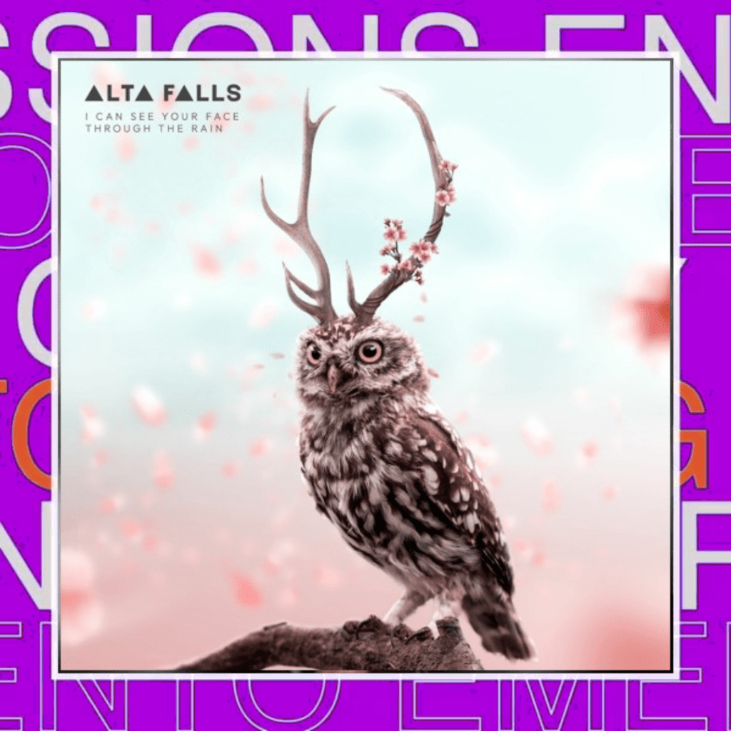 Alta Falls x Michael Mayo – I Can See Your Face Through The&nbsp;Rain