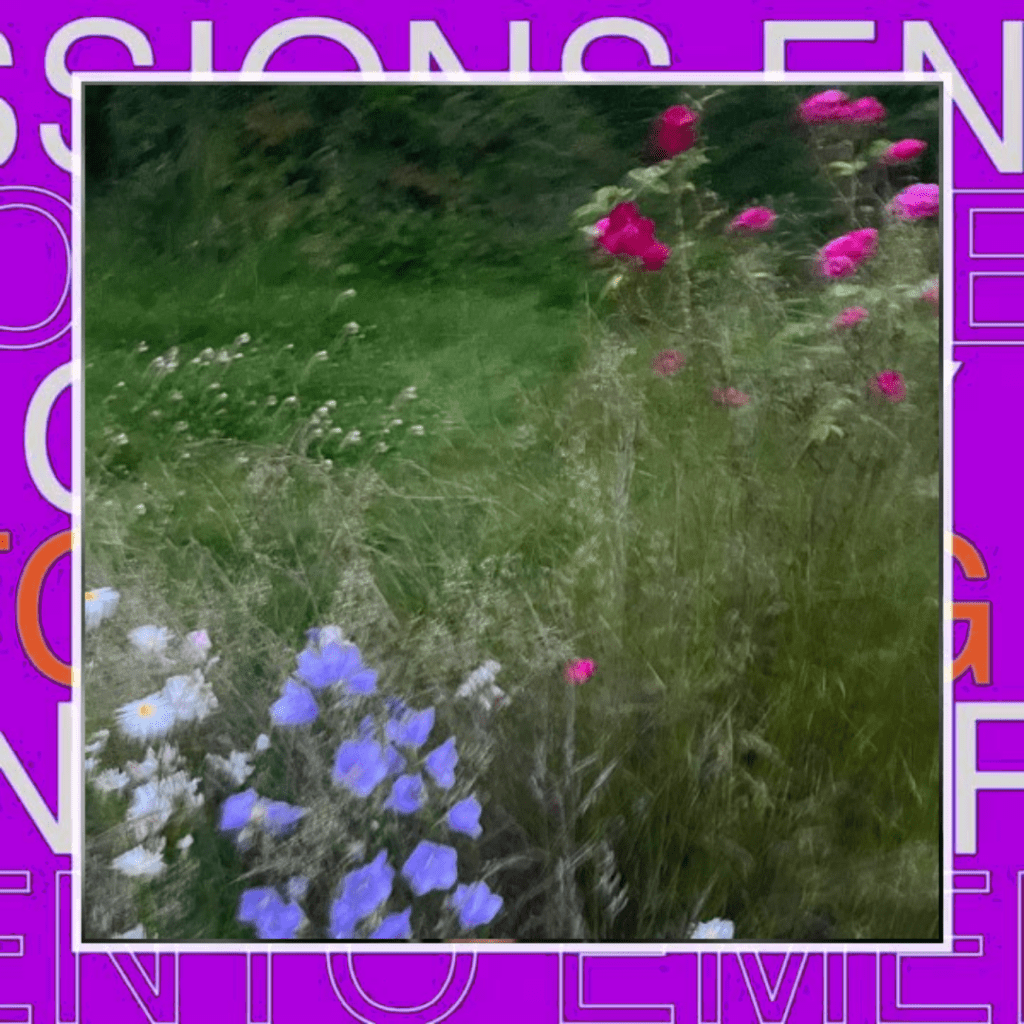 Elizabeth Hume –&nbsp;August