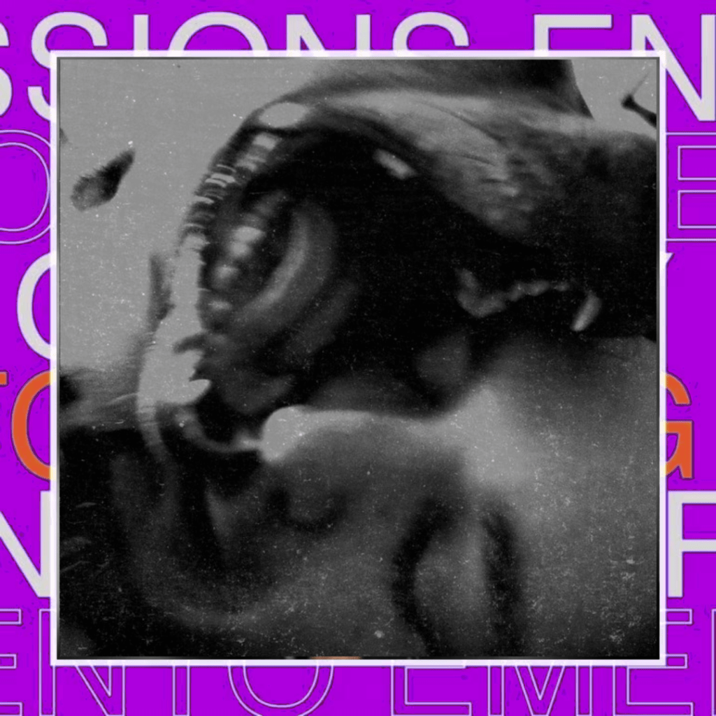 The Carolyn –&nbsp;LBB