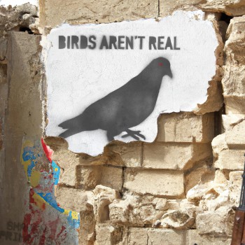 SHAVEN PRIMATES – Birds Aren’t Real