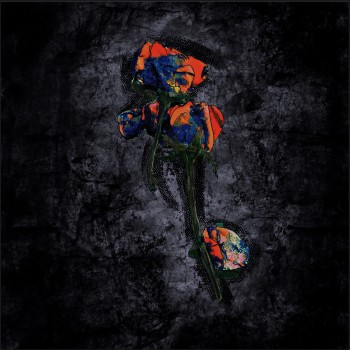 TONY LIO – Sweet&nbsp;Romantic