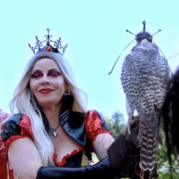 APRICITY – Allison Wonderland