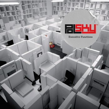 POLSKY – Executive&nbsp;Functions