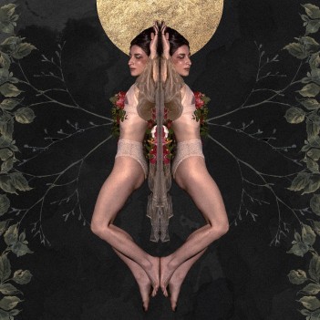 INDRA – Banyan&nbsp;Tree