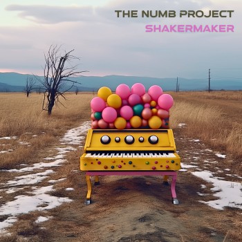 THE NUMB PROJECT –&nbsp;Shakermaker
