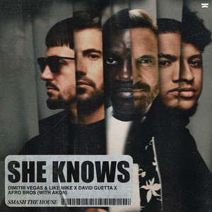 Dimitri Vegas & Like Mike x Akon x Afro Bros x David Guetta – She&nbsp;Knows