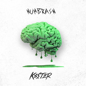 Køster – Numbrain