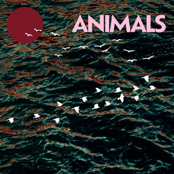 MIDNIGHT SHOPPERS – Animals