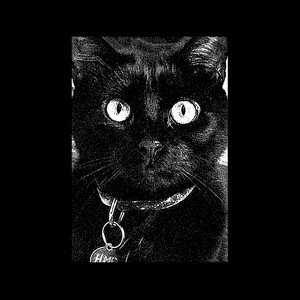 Human Missile Crisis – Too&nbsp;Long