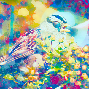 PR for Monsters – Big Voice Little&nbsp;Bird