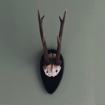 SPY FROM MOSCOW – Whispering In The&nbsp;Walls