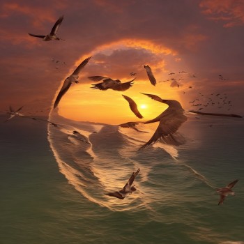 PHILLIP HOOVESTOL – changing&nbsp;course