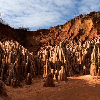 PLASMAN – Variable&nbsp;Mira