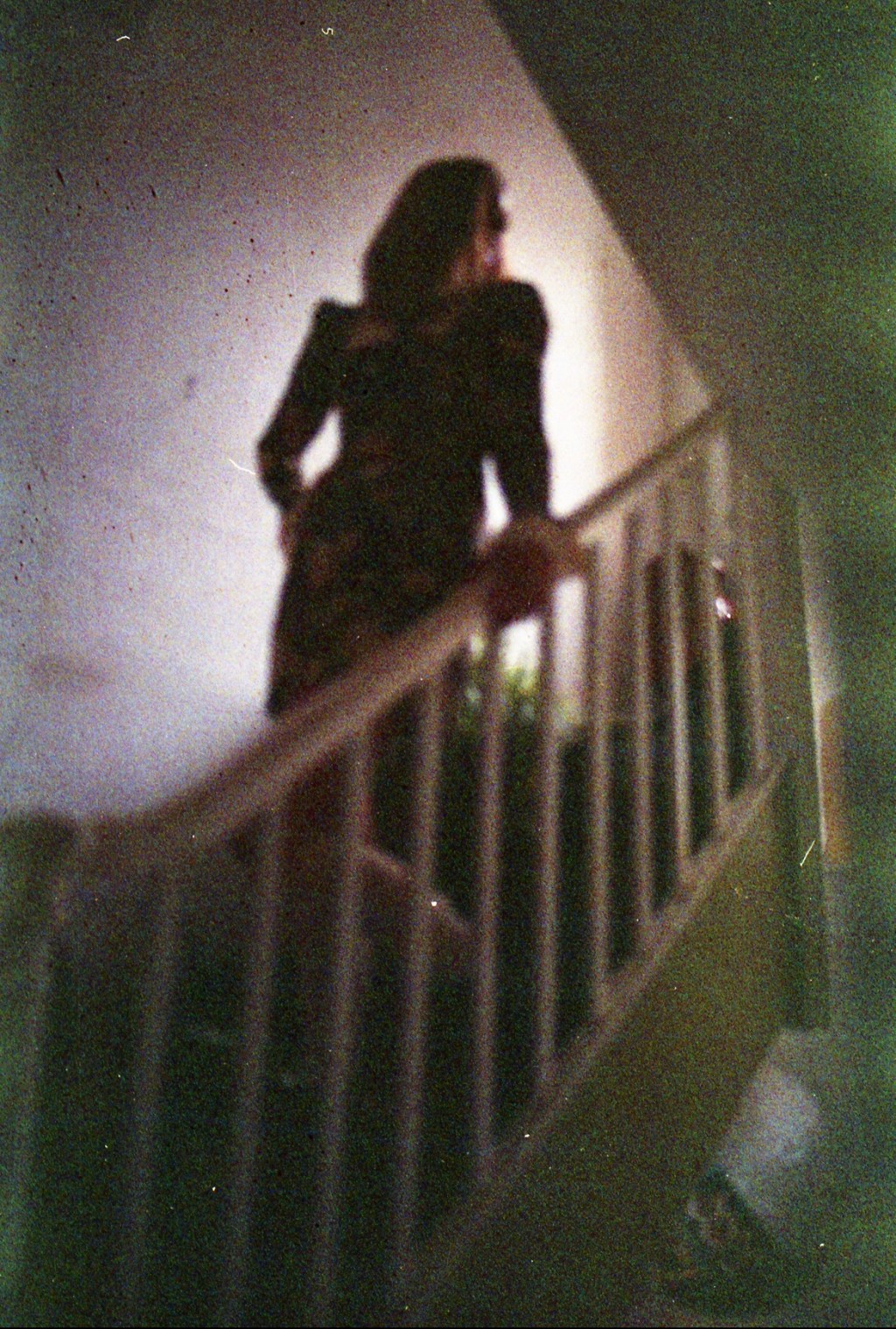 ROSINA BUCK – LIKE A&nbsp;LION