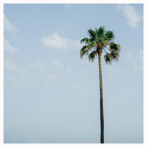 Oden Forest – Cold&nbsp;River