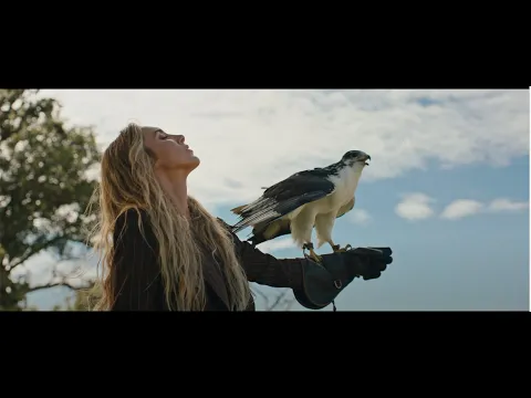 Miss Velvet – Traveler