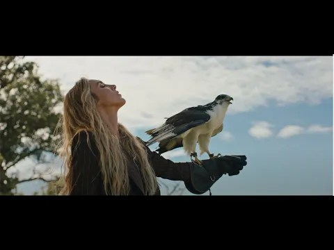 Miss Velvet –&nbsp;Traveler