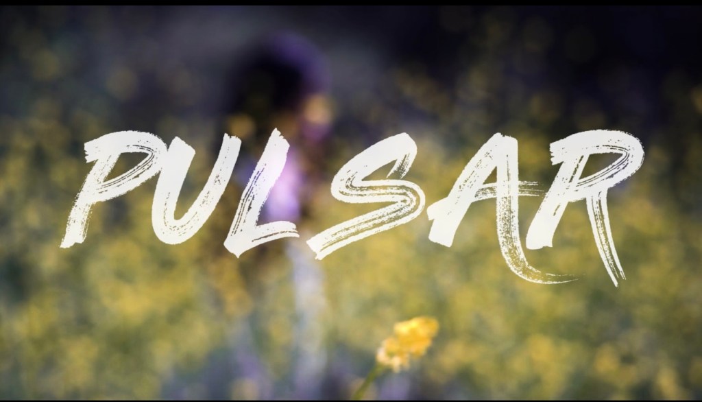 VELOUR ACADEMY –&nbsp;Pulsar