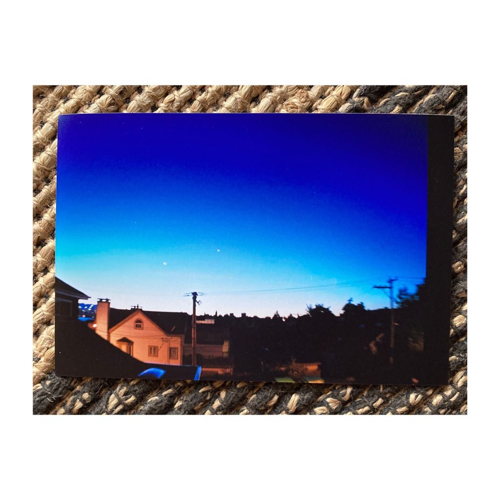 PRANATRICKS – Birds and the&nbsp;Bees