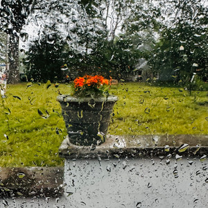 LKFFCT – N.J.&nbsp;Rain