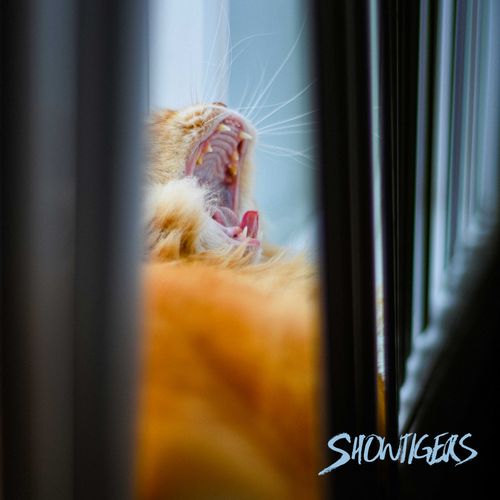 Showtigers – Passing&nbsp;Crowd