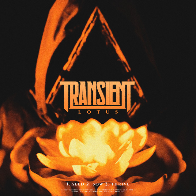 Transient – Thrive