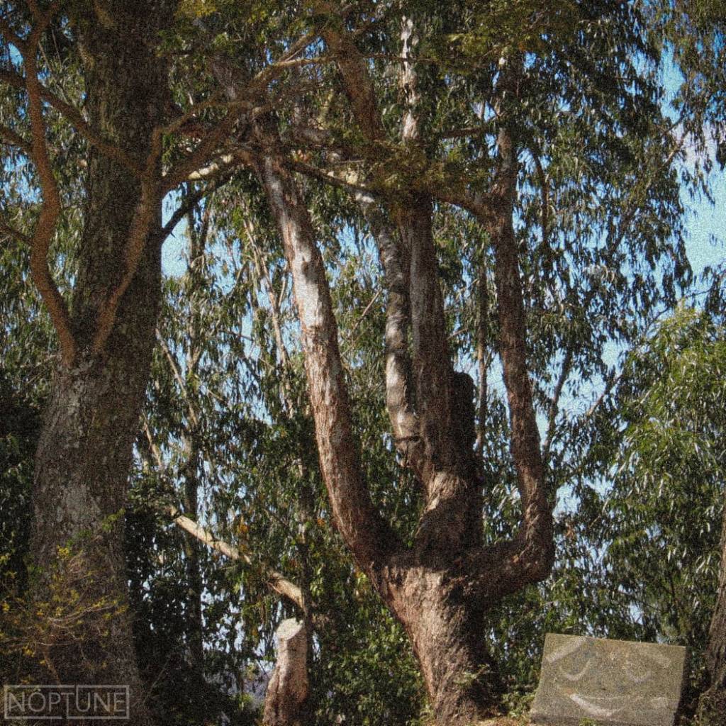 NÖPTUNE – (FUE) ES&nbsp;SENTIR