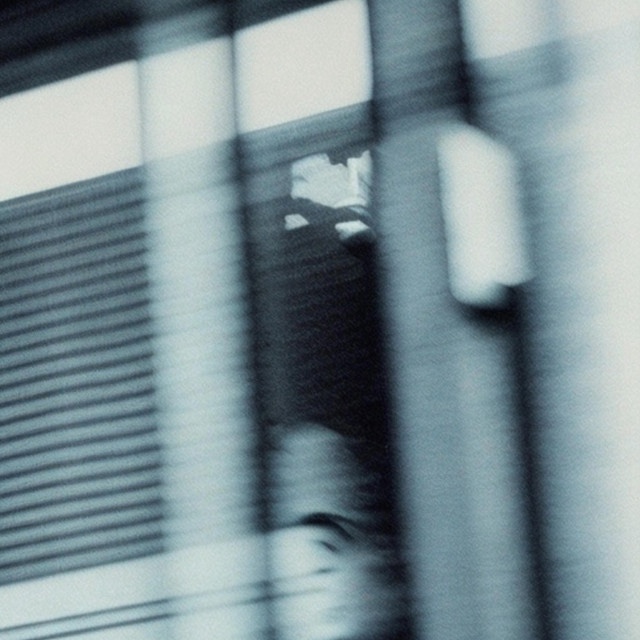 The Lovinas –&nbsp;Silhouette