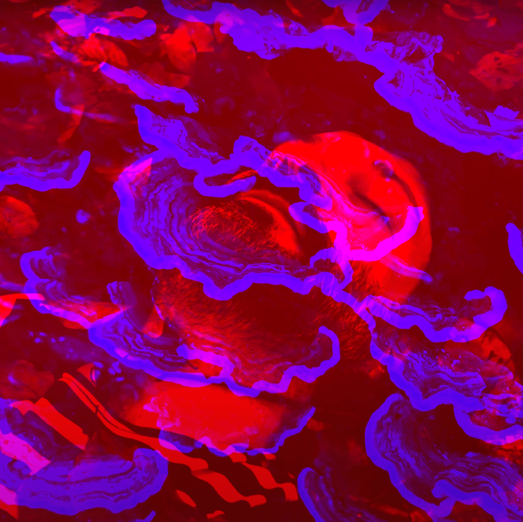 Alberto Amar – Estaré En Un&nbsp;Sueño