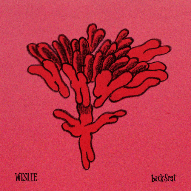 WESLEE – backseat