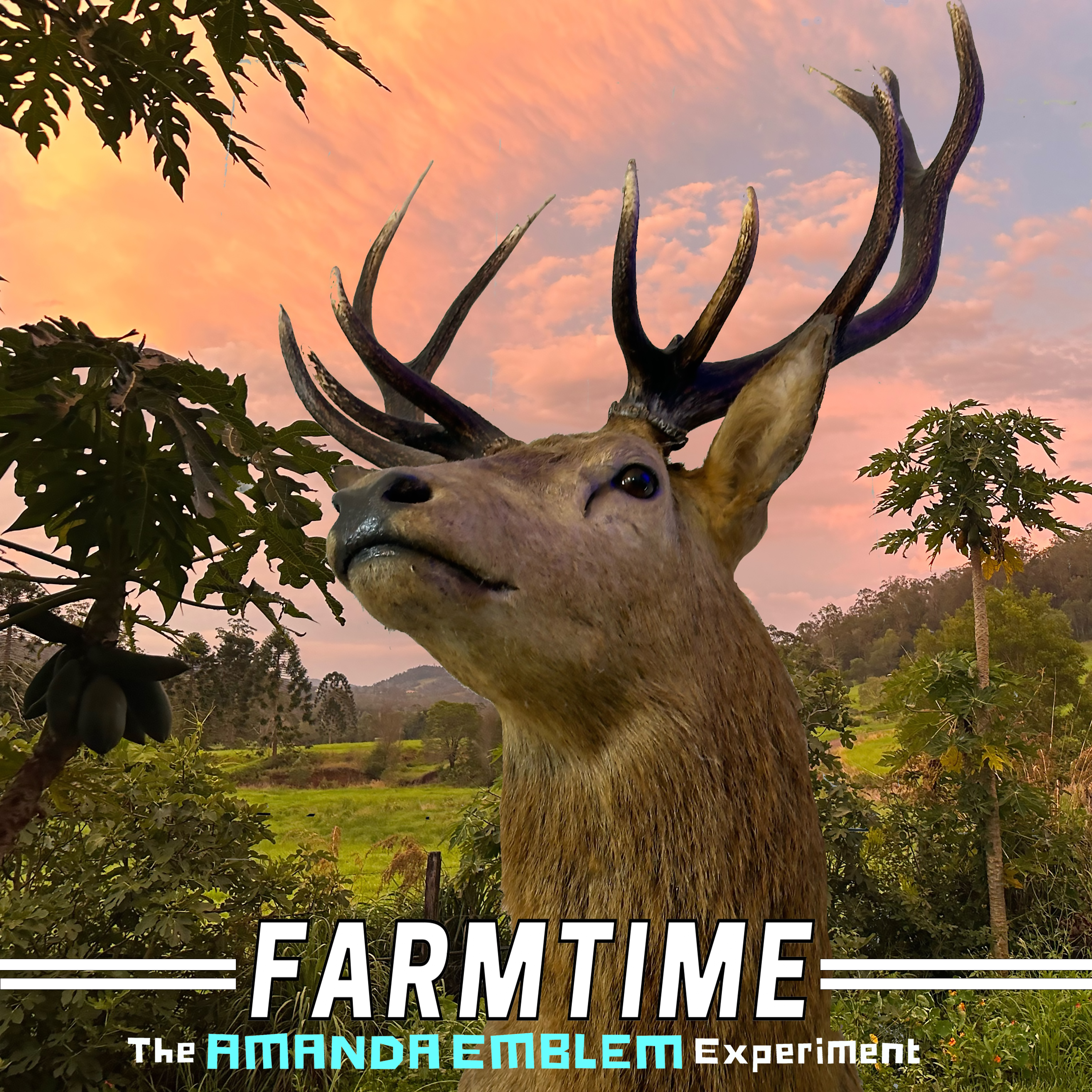 THE AMANDA EMBLEM EXPERIMENT – Farmtime