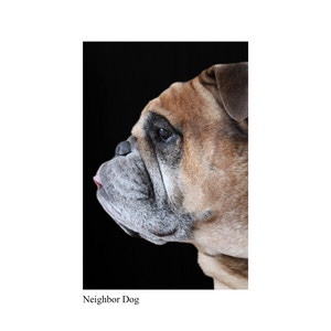 Neighbor Dog – Moon&nbsp;Bear