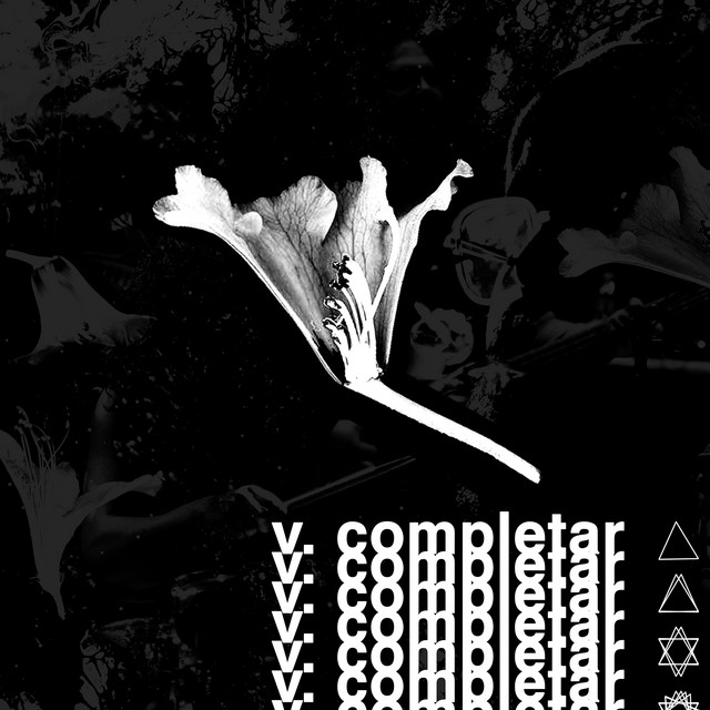 Zeta – V Completar&nbsp;2024