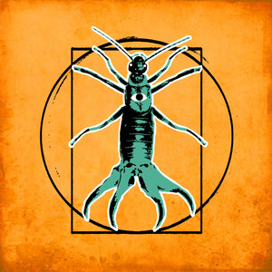 Dalyrium bay –&nbsp;Forbici